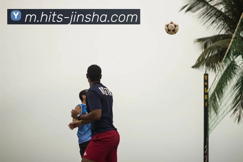 澳门金沙官网平台生态图